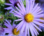 网易uu怎么连香港节点-香港节点加速器推荐