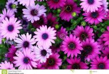 绝地求生更新节点哪个是香港-香港节点加速器推荐