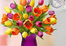 香港pccw节点怎么用-香港节点加速器推荐