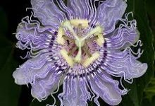 阿里云 选择节点 香港 华南-香港节点加速器推荐