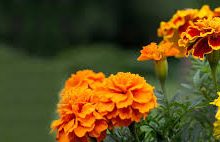 阿里云香港节点特惠-香港节点加速器推荐