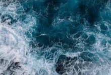 网易uu只有香港节点么-香港节点加速器推荐