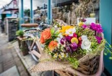 uu加速器选节点香港-香港节点加速器推荐