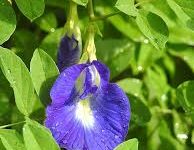 香港节点怎么样-香港节点加速器推荐