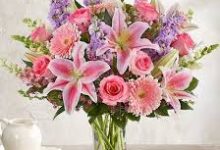 稳定免费的香港节点-香港节点加速器推荐