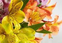 斯诺登在香港时间节点-香港节点加速器推荐