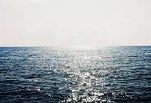 香港节点是那个-香港节点加速器推荐