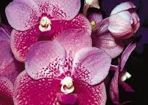 阿里云香港节点没有windows版-香港节点加速器推荐