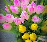 怎样改香港节点-香港节点加速器推荐