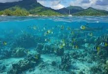 香港免费节点每天更新-香港节点加速器推荐