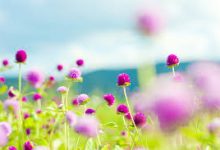 微软云香港节点价格-香港节点加速器推荐