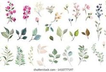 雷神加速器怎么换香港节点-香港节点加速器推荐