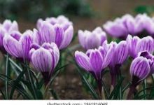 电信香港节点-香港节点加速器推荐