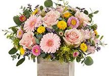 香港在steam节点叫什么-香港节点加速器推荐