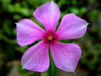 dota2换成香港节点更新-香港节点加速器推荐