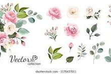 绝地求生香港节点是那个-香港节点加速器推荐