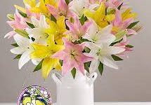 香港节点加速器ios-香港节点加速器推荐