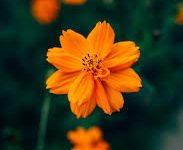 steam香港节点名称-香港节点加速器推荐