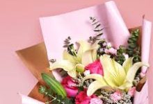 stm香港节点-香港节点加速器推荐