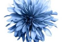 uu加速器只能选择香港节点-香港节点加速器推荐