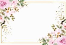 命运2雷神香港节点-香港节点加速器推荐