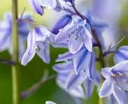 robocraft 香港节点-香港节点加速器推荐