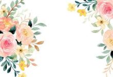 staem下载节点香港-香港节点加速器推荐