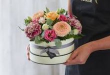 香港国际电影节点映-香港节点加速器推荐