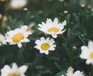 吃鸡香港节点是多少-香港节点加速器推荐