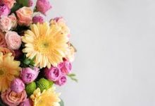 香港节点手机-香港节点加速器推荐