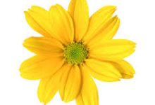 绝地求生更新香港节点-香港节点加速器推荐