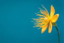 香港线路节点-香港节点加速器推荐