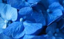 搭建香港节点-香港节点加速器推荐