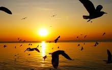 香港节点 host 手机-香港节点加速器推荐