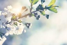 香港节点搭梯子-香港节点加速器推荐