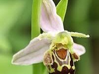 origin香港的ip节点-香港节点加速器推荐