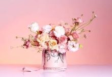 香港节点 二维码-香港节点加速器推荐