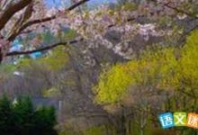 cloudflare 香港节点-香港节点加速器推荐