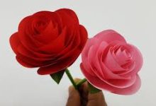 雷神加速器有香港节点吗-香港节点加速器推荐