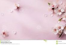 CloudFlare如何使用香港节点-香港节点加速器推荐