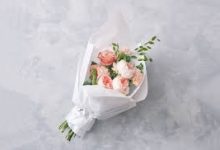 免费vpn香港节点-香港节点加速器推荐