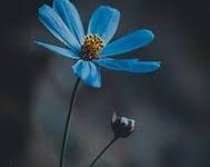 绝地求生如何连上香港节点-香港节点加速器推荐