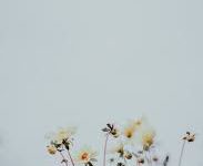 香港节点游戏-香港节点加速器推荐