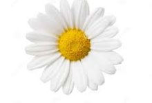 sstap 免费的香港节点-香港节点加速器推荐