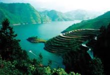 迅游 香港节点-香港节点加速器推荐