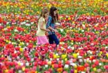 香港域名ip地址设置节点-香港节点加速器推荐