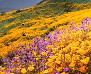 香港节点简称-香港节点加速器推荐