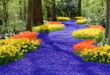 香港节点中转美国-香港节点加速器推荐