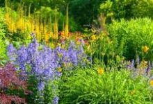 香港 美国 日本 线路节点 选择-香港节点加速器推荐