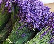 酷酷跑加速节点只能是香港吗-香港节点加速器推荐